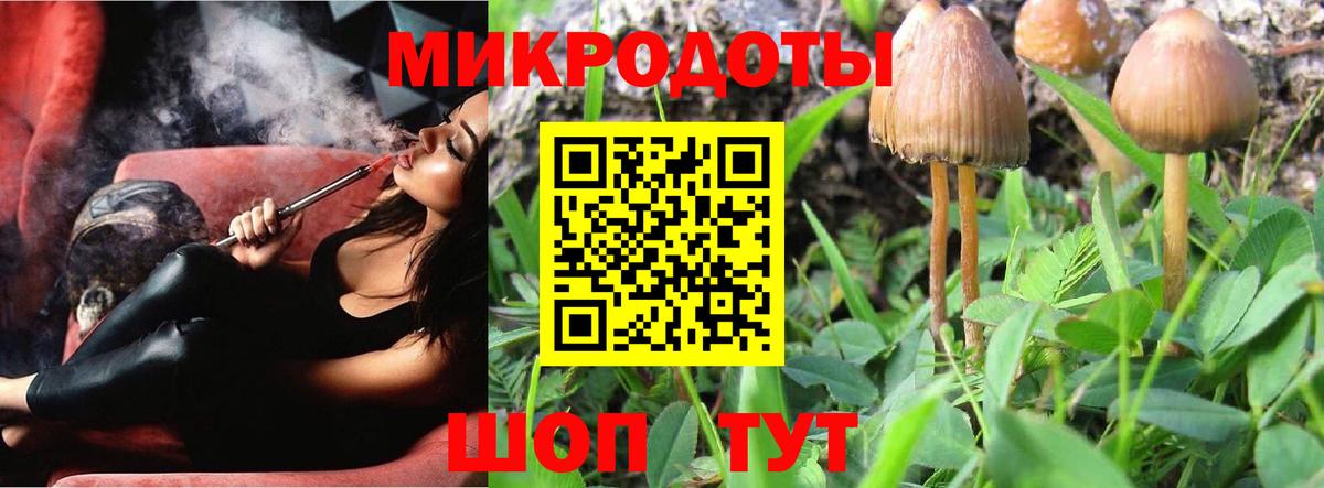 Псилоцибиновые грибы Psilocybine cubensis  Вход с VPN  Галлюциногенные грибы мухоморы  Городец 